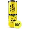 Dunlop Team Padel Balls (3 Ball Can) -Ball Game Paradise 601385
